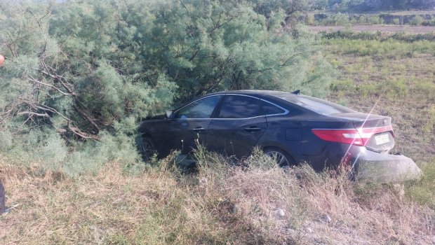 Mingəçevir yolunda avtomobil ağaca ÇIRPILDI - FOTO/VİDEO