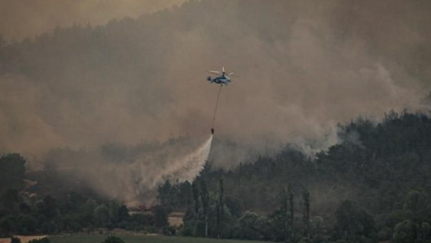 Türkiyədə meşə yanğını törədən 17 nəfər TUTULDU