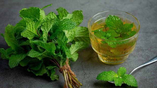 Yaddaşı və diqqəti yaxşılaşdırmağın ən sadə üsulu açıqlandı