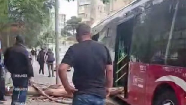 Bakıda külək ağacı avtobusun üzərinə aşırdı - VİDEO