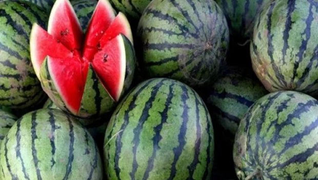 Qarpızlara bu dərmanlar vurulur, xərçəngə yoluxma riski var - XƏBƏRDARLIQ