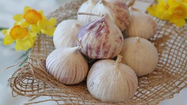İcazəsiz yığımı QADAĞANDIR!