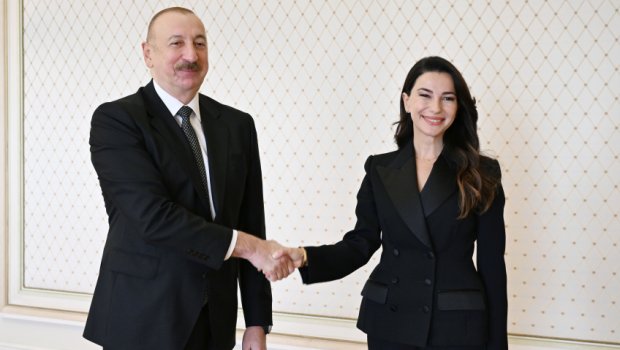İlham Əliyev gürcüstanlı naziri qəbul etdi – FOTO