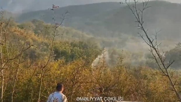 Cəlilabaddakı yanğın MƏHDUDLAŞDIRILDI - VİDEO