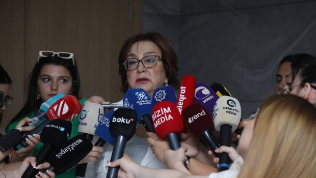 Subbakalavrlar üçün iki yol var – Məleykə Abbaszadə nələri açıqladı?