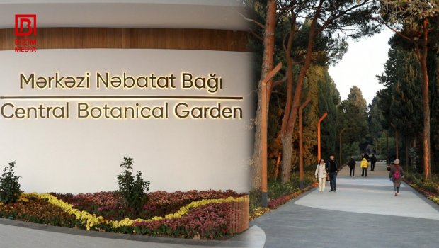 Nəbatat Bağından ilanın uşağı sancması ilə bağlı daha bir AÇIQLAMA