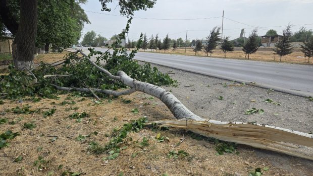 Xaçmaz rayonunda elektrik enerjisi hələ tam bərpa edilməyib - FOTO