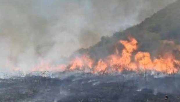 Daha bir rayonda şiddətli yanğın BAŞLADI