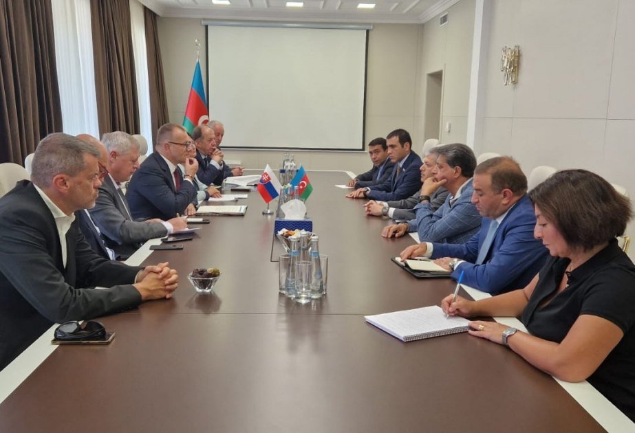Slovakiya Milli Şurasının sədri 2-ci dəfə Şuşaya getdi - FOTO - foto 1