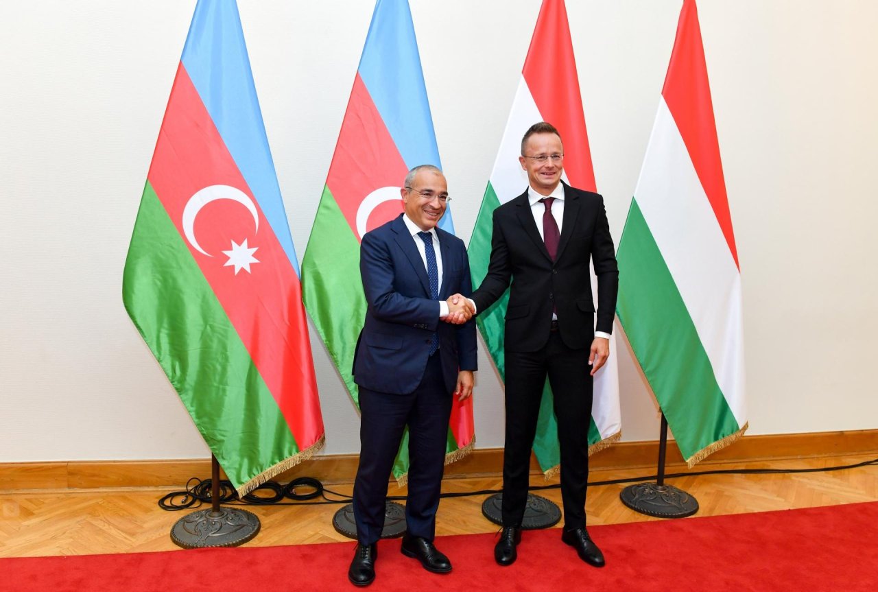 Azərbaycan-Macarıstan əlaqələrinin gücləndirilməsi üçün sahələr açıqlanıb - FOTO  - foto 2