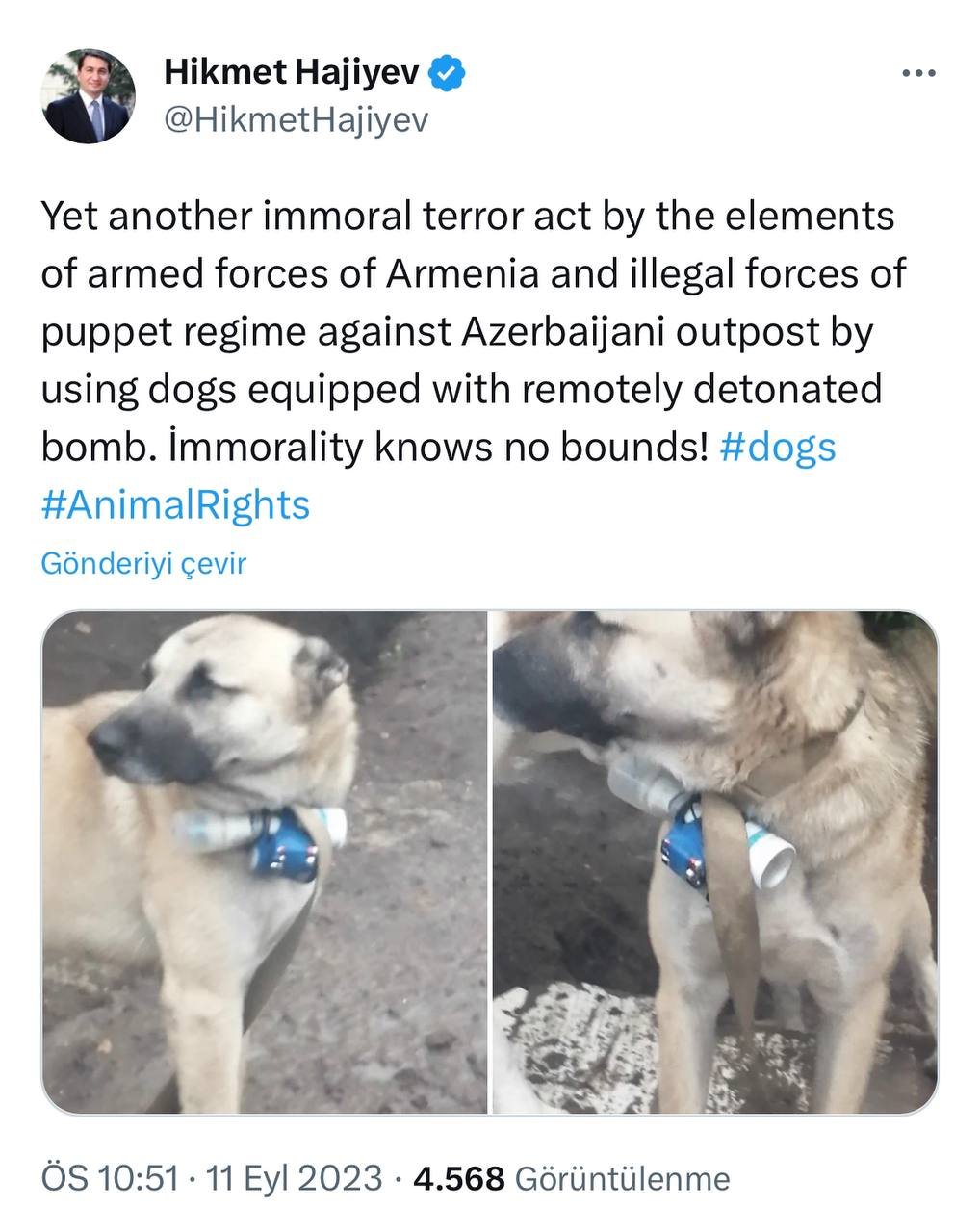 Hikmət Hacıyev: “Ermənilərin itdən sui-qəsdçi kimi istifadəsi əxlaqsızlıqdır" - FOTO  - foto 1