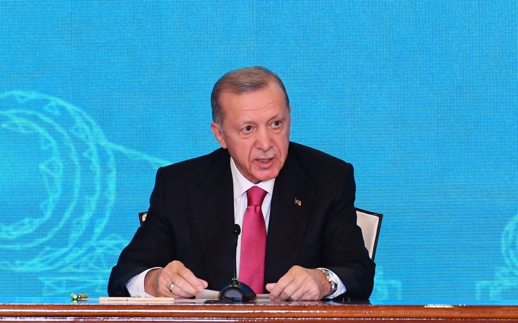 Prezidentlər mətbuata bəyanatlarla çıxış ETDİLƏR - FOTO - foto 5