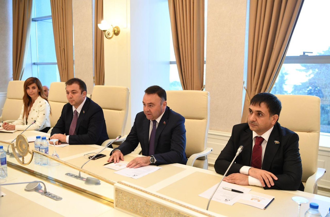 Azərbaycanla Çexiya arasında strateji tərəfdaşlıq müzakirə edilib - FOTO  - foto 1