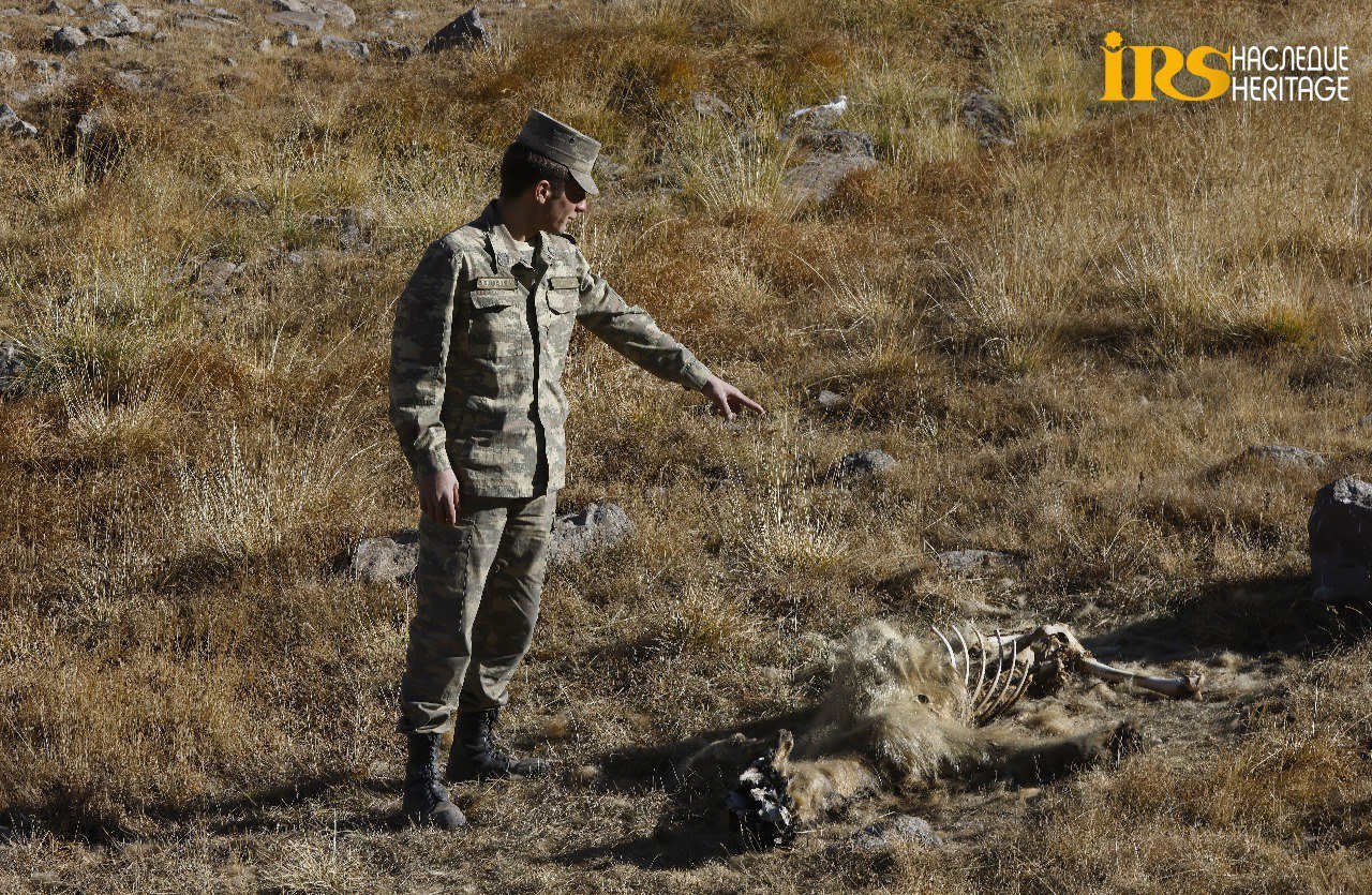 Ermənistanın mina TERRORU - Danışan FOTOLAR  - foto 3