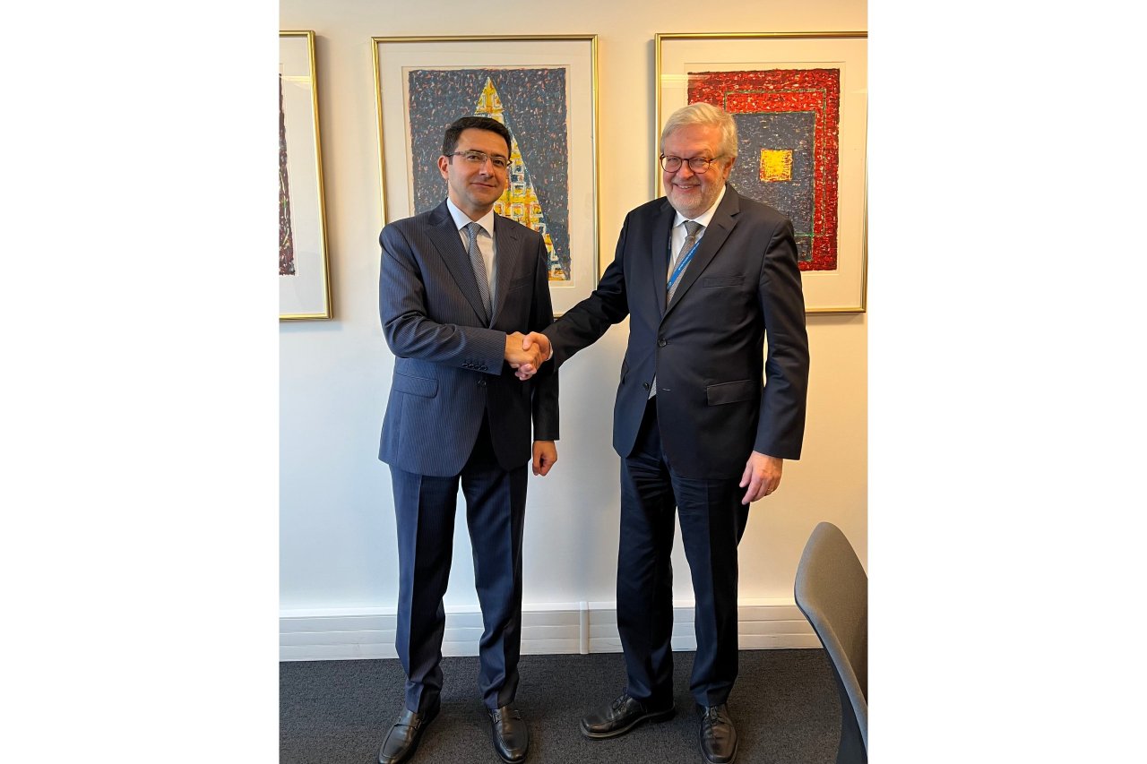 Azərbaycan nümayəndə heyəti Parisdə OECD-in iclasında iştirak edib - FOTO  - foto 3