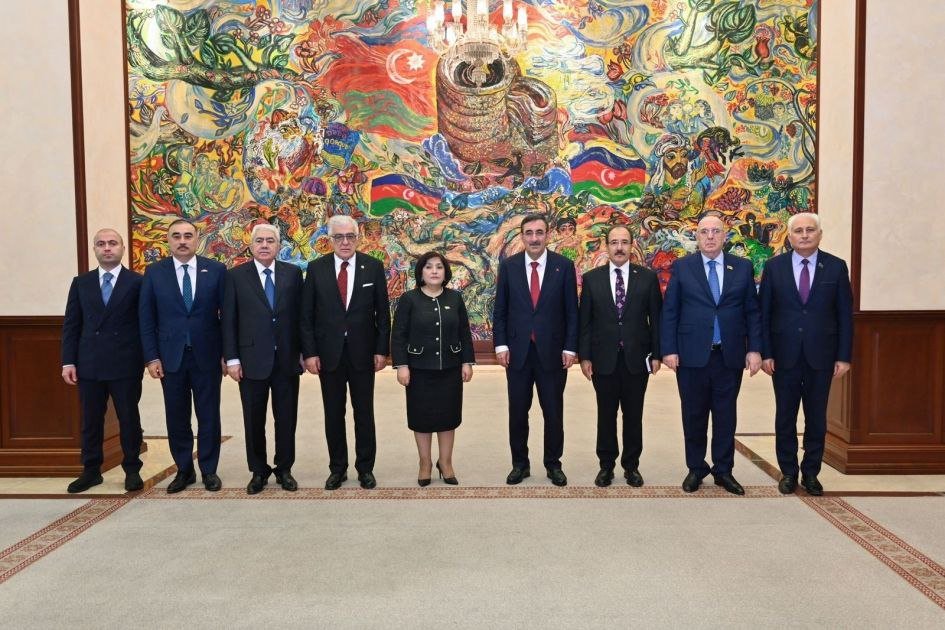 Türkiyənin vitse-prezidenti Milli Məclisdə - FOTO - foto 4