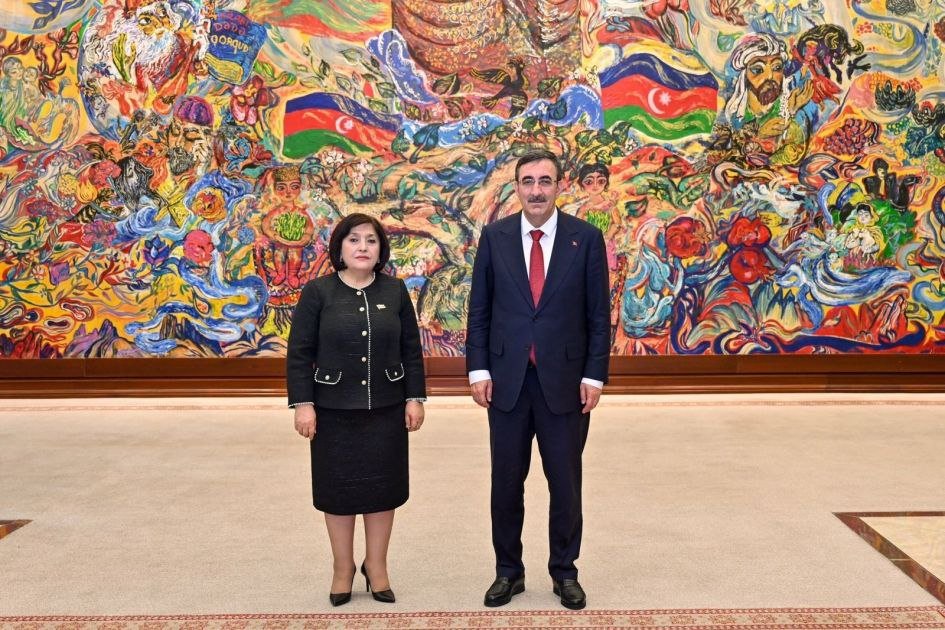 Türkiyənin vitse-prezidenti Milli Məclisdə - FOTO - foto 3