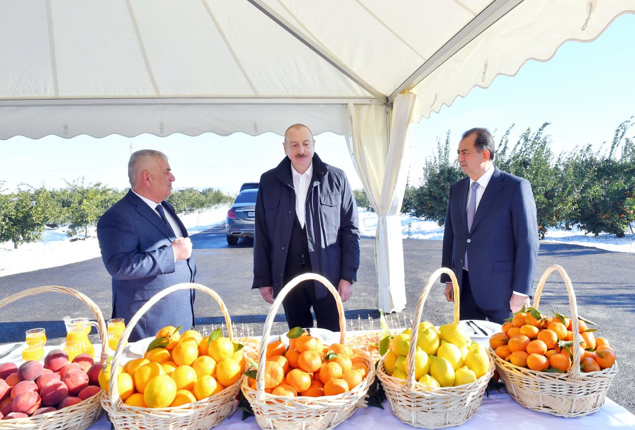 Prezident İlham Əliyev Lənkəranda - YENİLƏNİB/FOTO/VİDEO - foto 2