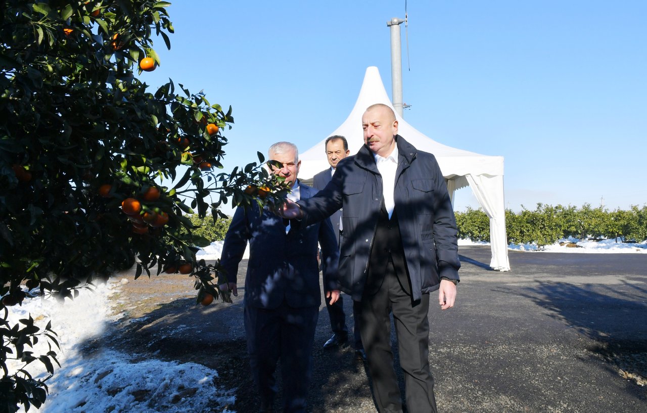 Prezident İlham Əliyev Lənkəranda - YENİLƏNİB/FOTO/VİDEO - foto 4