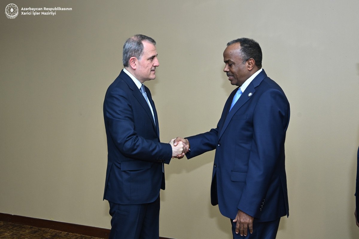 Somalinin dövlət naziri Azərbaycana TƏŞƏKKÜR ETDİ  - FOTO - foto 1
