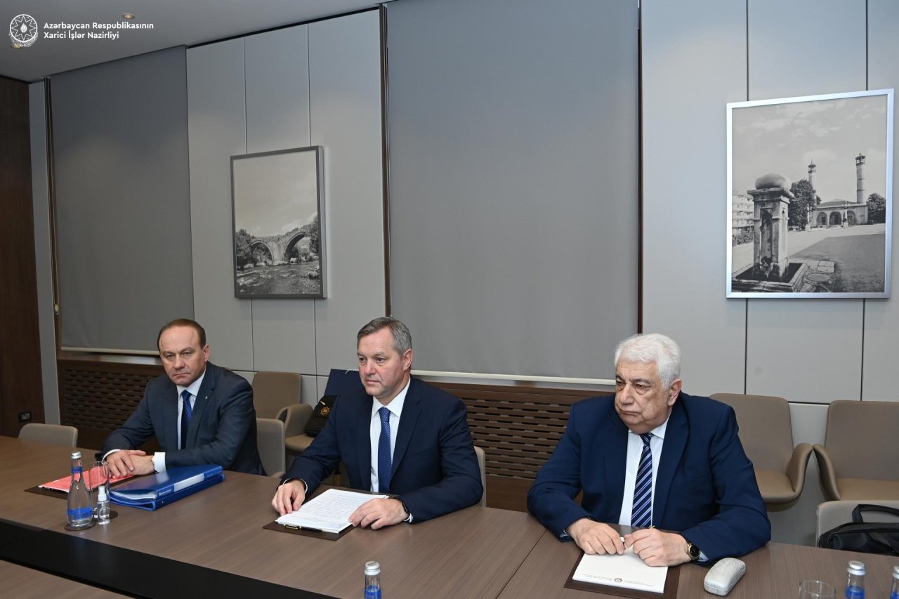 Ceyhun Bayramov MDB PA Şurasının Baş katibi ilə seçkilərə hazırlıq işlərini müzakirə edib - FOTO - foto 2