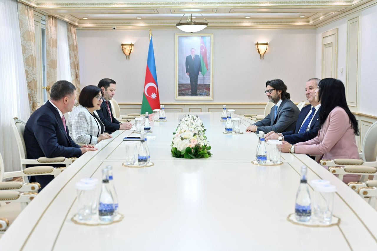 Beynəlxalq müşahidəçilər: “Seçkilər demokratik prinsip və normalar əsasında həyata keçirilib” - FOTO  - foto 1