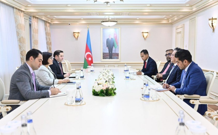 Müşahidə missiyalarının üzvləri: “Azərbaycan beynəlxalq ictimaiyyətə açıq ölkədir” - FOTO - foto 2