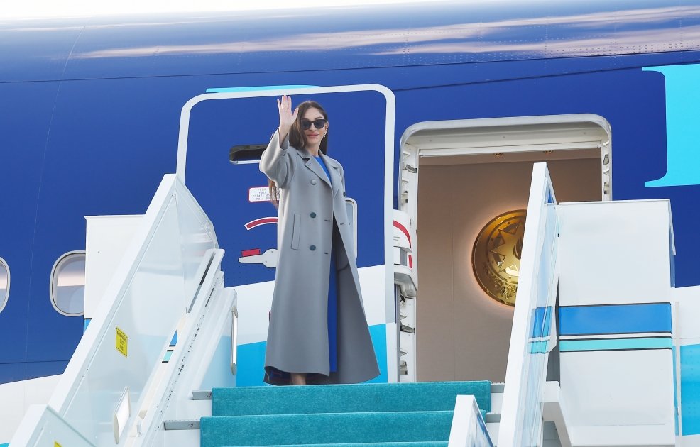 Prezident İlham Əliyevin Türkiyəyə rəsmi səfəri BAŞA ÇATIB - FOTO - foto 6