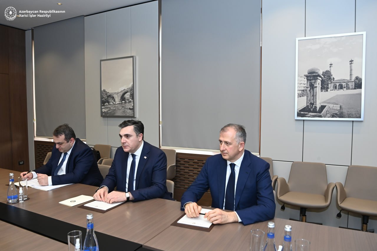 Ceyhun Bayramov gürcüstanlı həmkarı ilə regional vəziyyəti müzakirə etdi - FOTO  - foto 3
