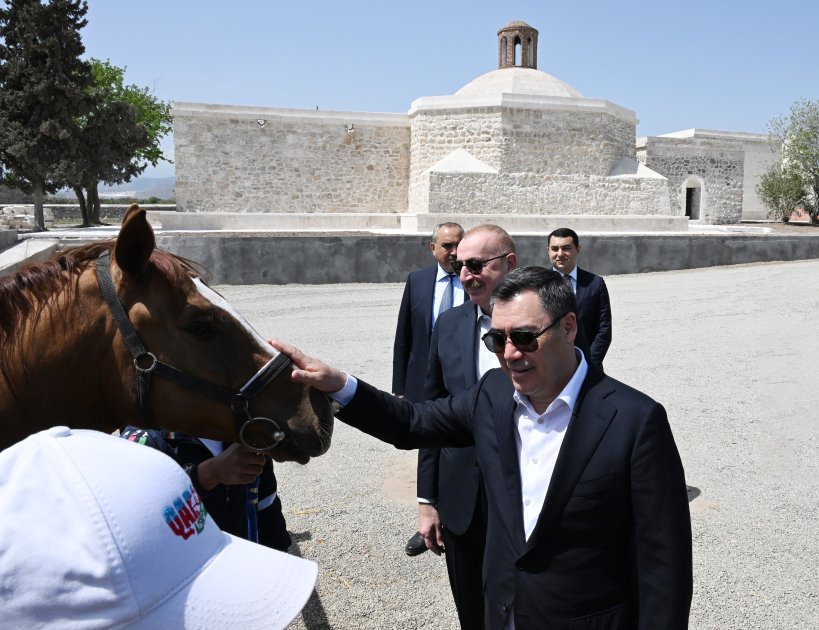 İlham Əliyev Sadır Japarova Qarabağ atı hədiyyə etdi - FOTO - foto 3