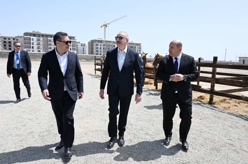 İlham Əliyev Sadır Japarova Qarabağ atı hədiyyə etdi - FOTO - foto 1