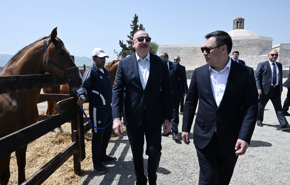 İlham Əliyev Sadır Japarova Qarabağ atı hədiyyə etdi - FOTO - foto 4