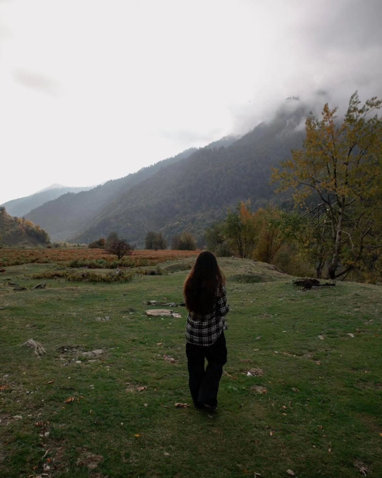 Leyla Əliyeva Qəbələ rayonuna getdi - FOTO/VİDEO - foto 5