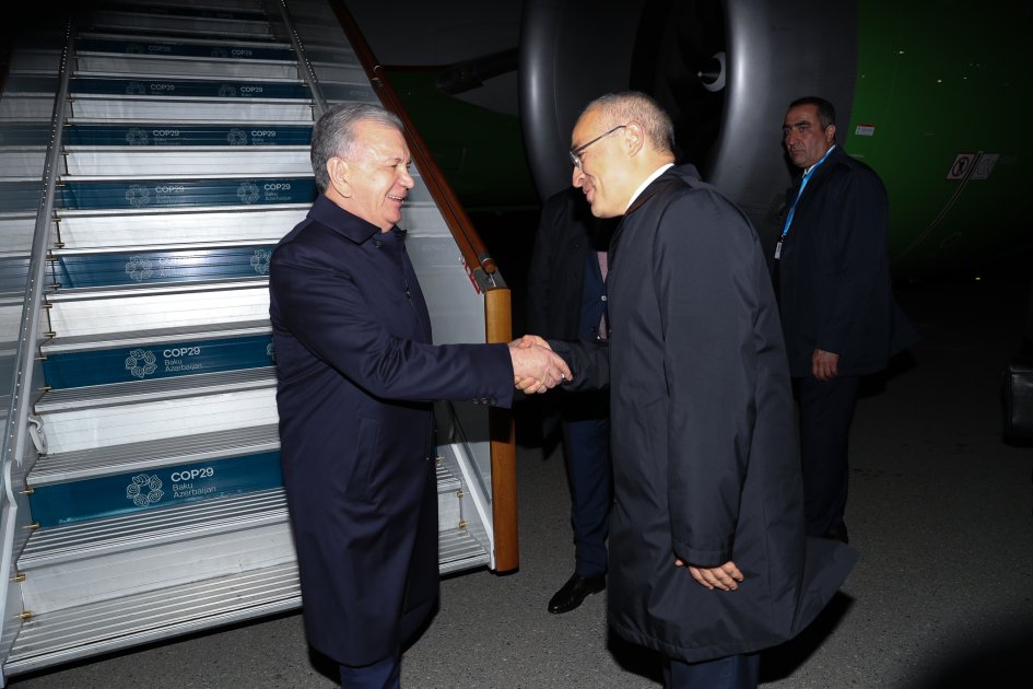 Özbəkistan Prezidenti Azərbaycanda – FOTO - foto 1