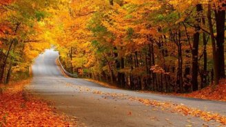 Bu gün hava necə olacaq?