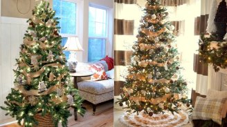 Allergiyası olanlar &ldquo;Yolka&rdquo;dan uzaq dursunlar &ndash; Həkimdən təhlükəsi barədə XƏBƏRDARLIQ