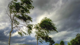 Ölkə ərazisində külək güclənəcək - XƏBƏRDARLIQ