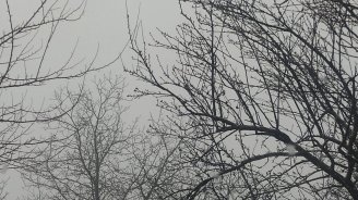 Bu bölgəmizə də qar yağır - FOTO/VİDEO