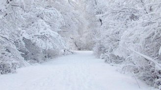 Bu rayonda qarın hündürlüyü 85 santimetrə çatıb - FAKTİKİ HAVA