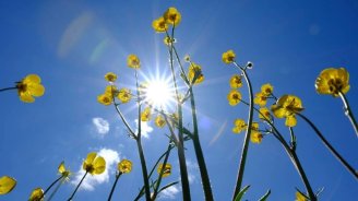 Faktiki hava AÇIQLANDI: Bakıda 26 dərəcə isti...