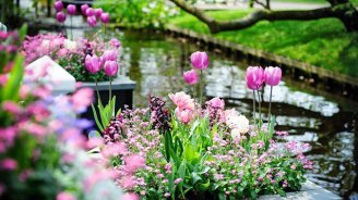 Azərbaycana yaz gəldi