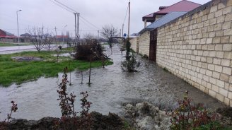 Qubada 10-dan çox həyəti çirkab suları basıb - FOTO/VİDEO