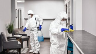 Evləri, ofisləri həşəratlar basıb &ndash; Dezinfeksiya işlərini kim APARMALIDIR?