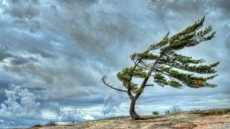 Küləkli hava ilə bağlı XƏBƏRDARLIQ