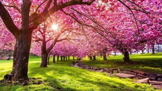 GÜNÜN HAVASI: 24 dərəcə isti olacaq