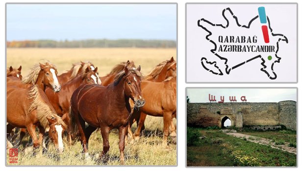 Mərkəzi Bank tədavülə yeni pul nişanları buraxacaq - ÖZƏL