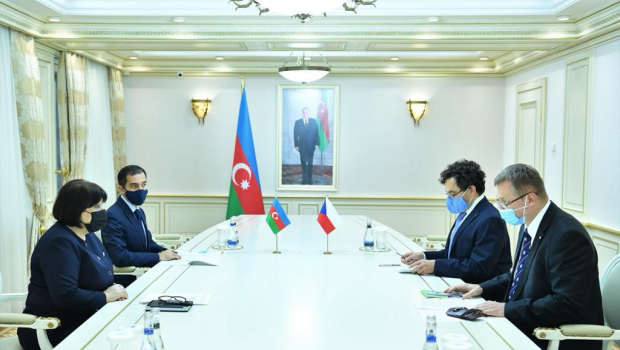 Sahibə Qafarova Çexiya səfirini qəbul edib