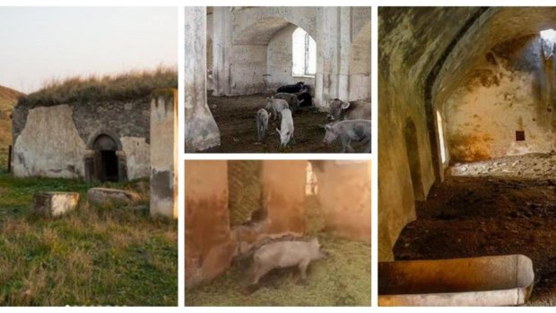 Məscidlərdə donuz saxlayan ermənin aqibəti