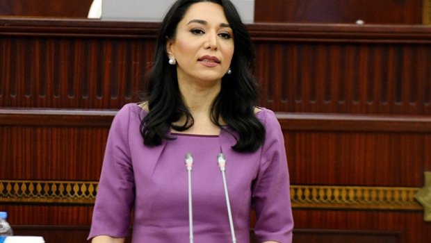 Ombudsman əsir götürülən əsgərlərlə bağlı müraciət hazırladı