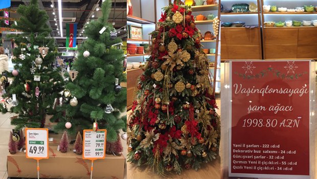 2021-ci ilə köhnə şam ağacları ilə gedirik – YENİ İL BAZARLIĞI